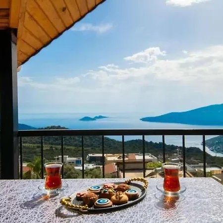Palya
