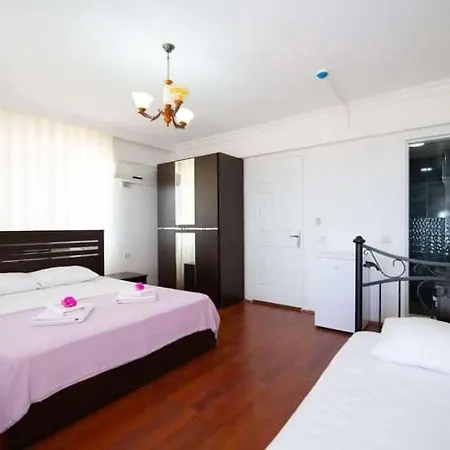 Palya Gazde/Camere de închiriat