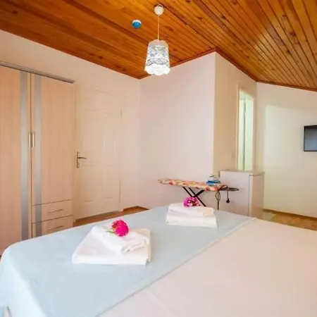 Gazde/Camere de închiriat Palya