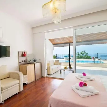 Palya